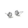 Ansel Rose 14k White Gold Stud Earrings in White Diamond