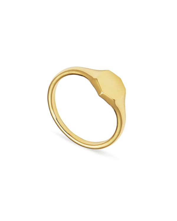 Davis Signet Ring in 18k Gold Vermeil - view 2