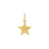 Folds Of Honor 18k Gold Vermeil Star Charm in Yellow Sapphire