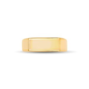 Hudson Signet Ring in 18k Gold Vermeil - view 2